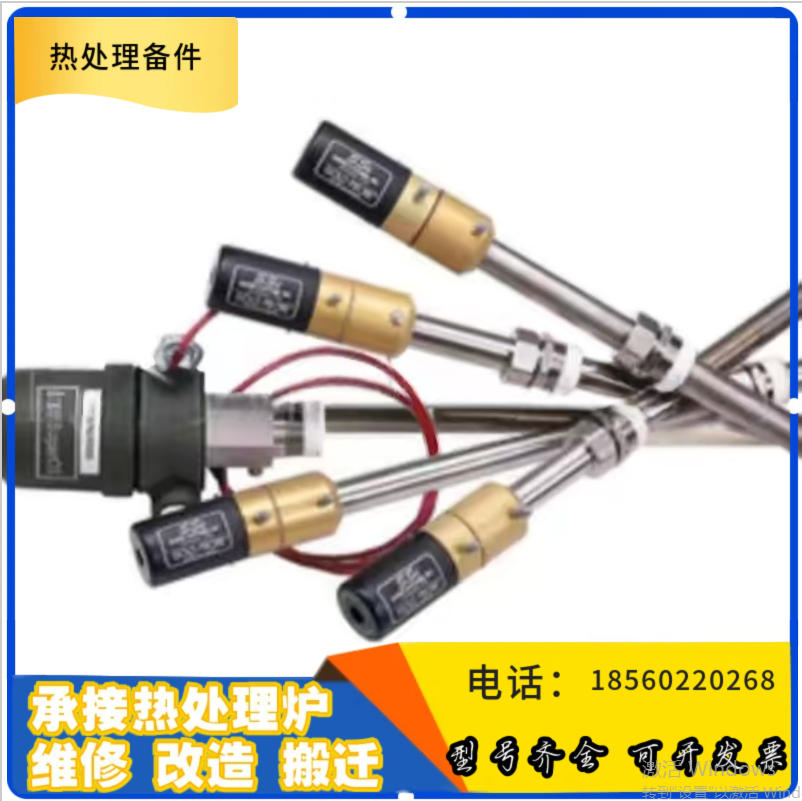 SSI氧探头 美国进口氧传感器